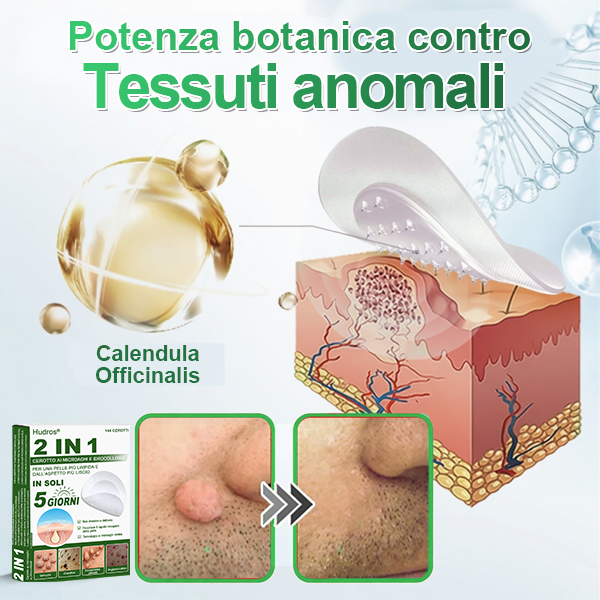 👉Hudros®🐒Cerotto 2 in 1 a Micro-aghi e Idrocolloide | Elimina Nevi in Rilievo, Acne, Verruche Piatte e Fibromi Cutanei | Migliora Rughe, Cicatrici e Imperfezioni | Cerotti Stella Invisibili per Brufoli su Viso e Corpo | 144 pz.🐑