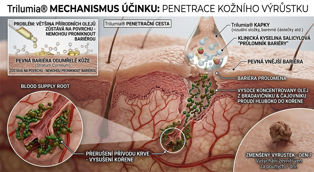 𝑻𝒓𝒊𝒍𝒖𝒎𝒊𝒂®💎🍃 Prémiový roller | 🔬 Na odstranění bradavic, znamének a výrůstků 🇨🇿