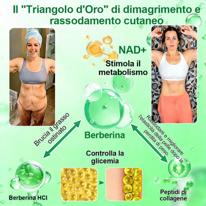 【Offerta ultimo giorno – 80% di sconto】👨🏻‍🤝‍👩🏻🏥🧍‍♀️👩𝐻𝑒𝑎𝑙𝑟𝑖𝑧𝑒® Moringa · Berberina × NAD⁺ 10-in-1 Advanced Nano Microneedle Patch ✨ 7 cerotti per confezione · Fornitura per una settimana