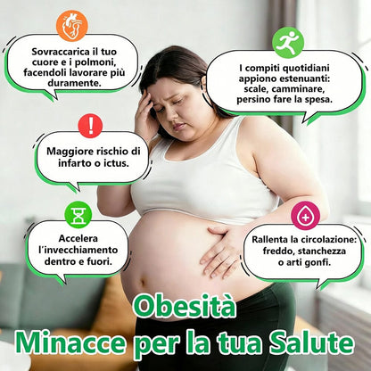 【Offerta ultimo giorno – 80% di sconto】👨🏻‍🤝‍👩🏻🏥🧍‍♀️👩𝐻𝑒𝑎𝑙𝑟𝑖𝑧𝑒® Moringa · Berberina × NAD⁺ 10-in-1 Advanced Nano Microneedle Patch ✨ 7 cerotti per confezione · Fornitura per una settimana